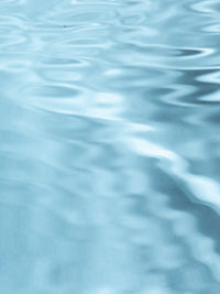 Aqua Coralline