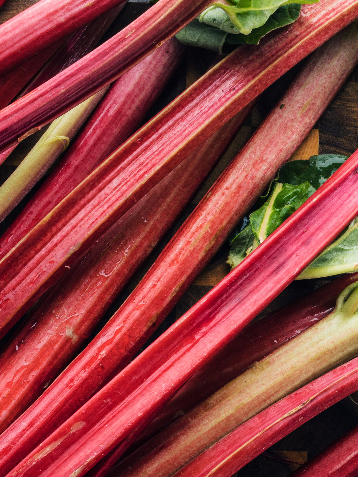 Close-up of fresh rhubarb stalks with green leaves on a dark background