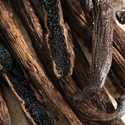 Cardamom Vanilla